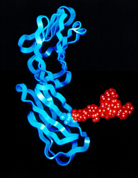 molecule