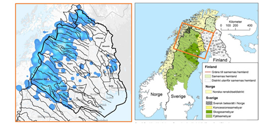 Norrbotten County (left) with the estimated wolverine distribution marked in blue and its 32 reindeer herding communities outlined in black. The reindeer herding district (marked in green on the right) covers about 50% of Sweden. Images courtesy of Norrbotten County and Sametinget.