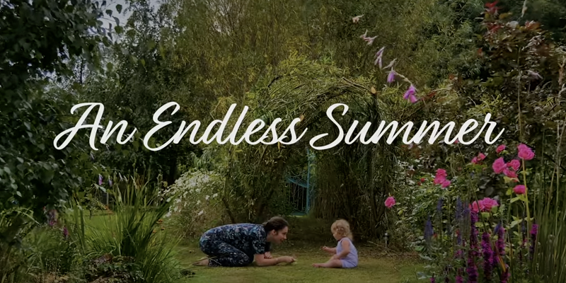 Where was The Endless Summer filmed?