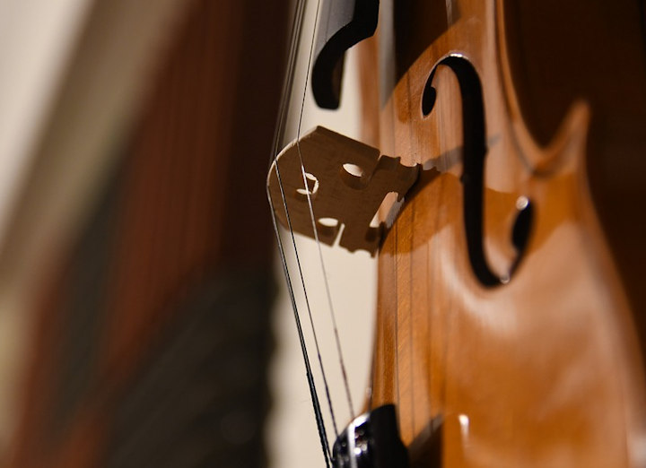 Close-up of a violin