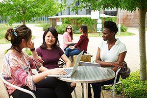 A group of students collaborating.