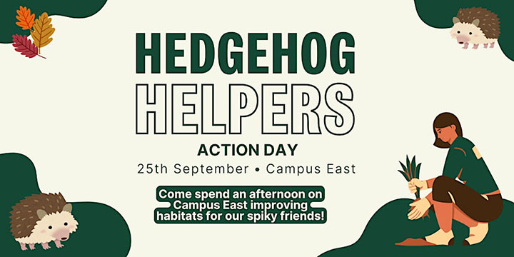 Hedgehog Helpers Action Day | 25 Sep 2024 | Campus East