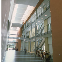 The Biology Department is located on Wentworth Way on the Main Campus at Heslington