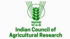 Indian Council fo Agricultural Research Logo,  symbol of wheat in growing stage and encircling component shows the strength of research.