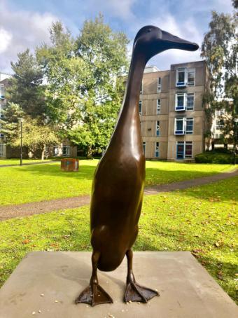 A bronze statue of Long Boi is seated on a plinth outside Derwent College, with grass and trees surrounding him